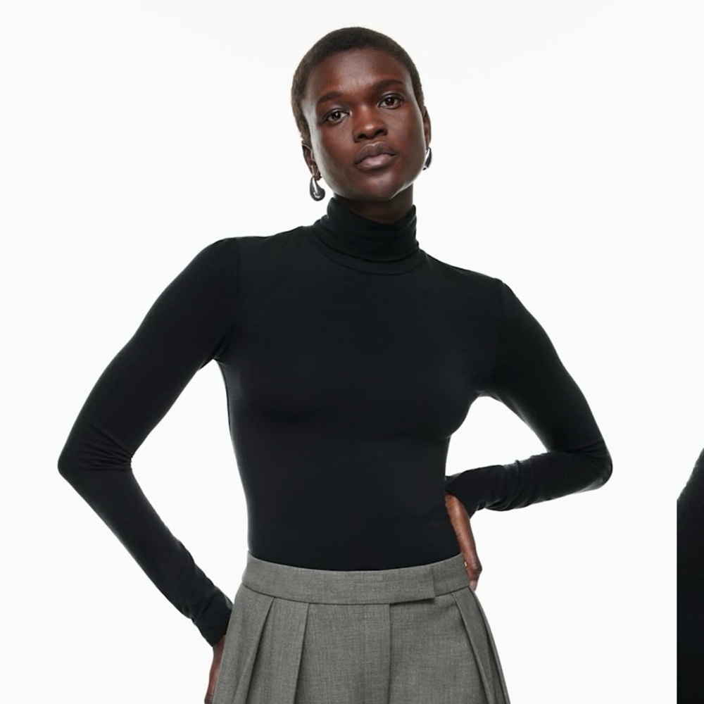 Aritzia Babaton Everyday Turtleneck